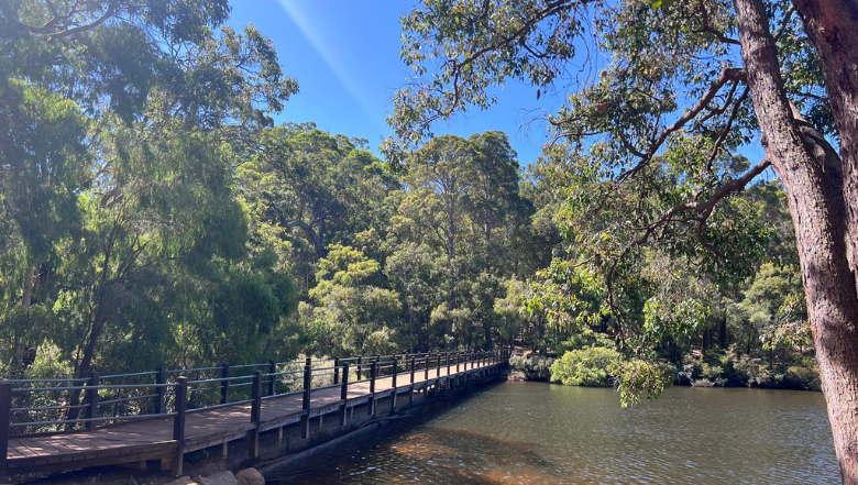 Essential repairs at Barrett Street Weir this week