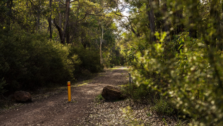 Public Holiday changes – Monday 1 June