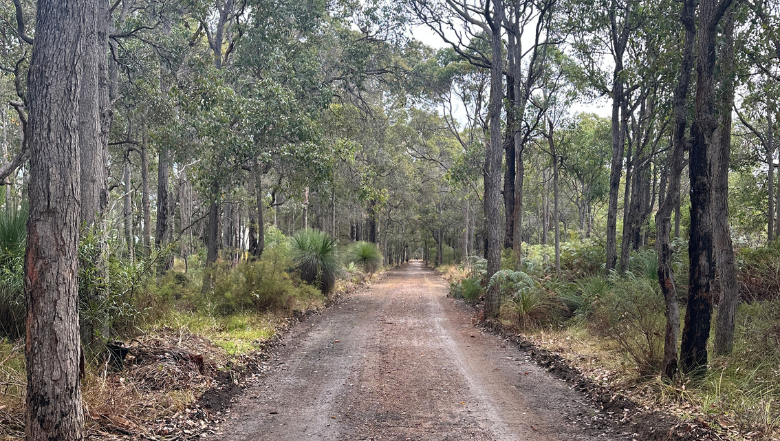 Shire works watch: projects happening next week
