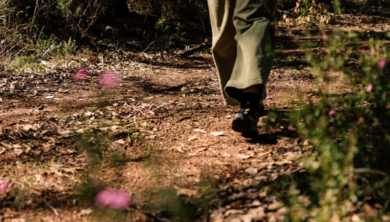 Wadandi Track section closing for resheeting