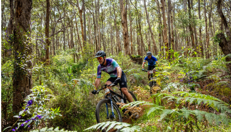 Three ways to be part of the Cape to Cape MTB (without getting on a bike)