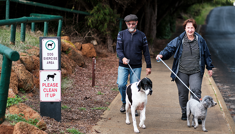 Dog Exercise Area Review - Council Meeting Outcomes