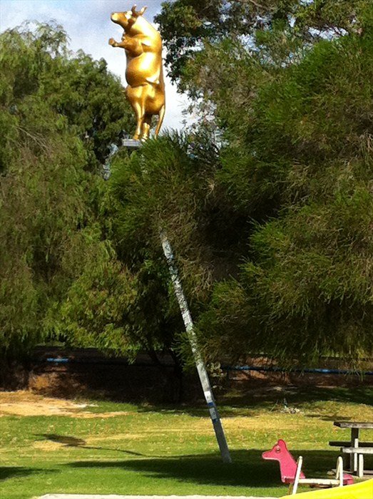 Free as a Cow
