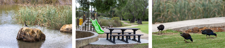 News-BrookfieldConnect_2.jpg