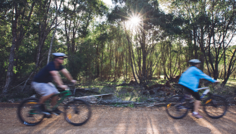 Planning Underway for Wadandi Track Upgrades