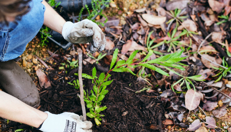 Environmental Management Fund Grants now open!