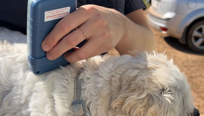 Pet microchip registration changes