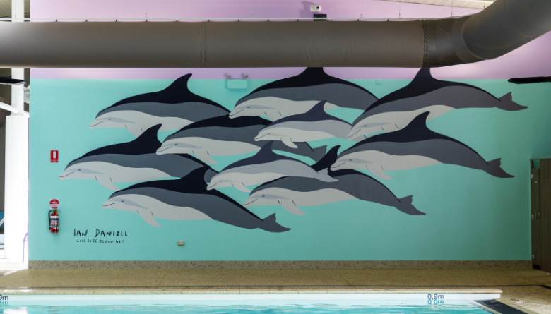 Dolphins make a Splash at the Rec Centre