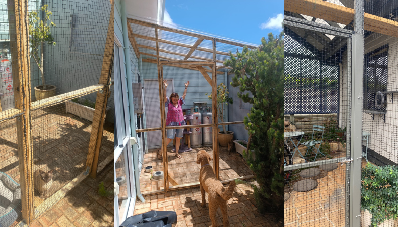 Build a catio, protect wildlife and grab a $200 rebate!