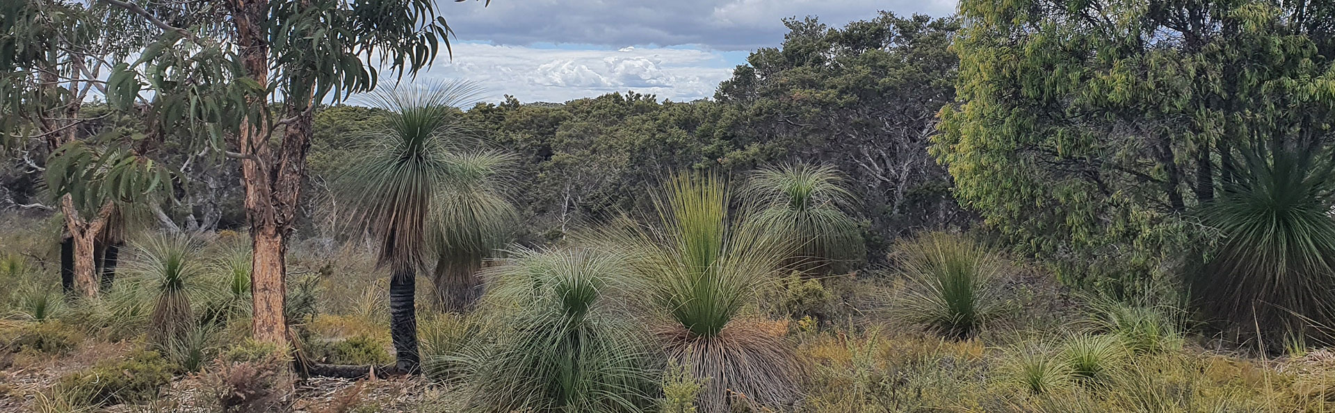 Friends of Molloy Island Reserves