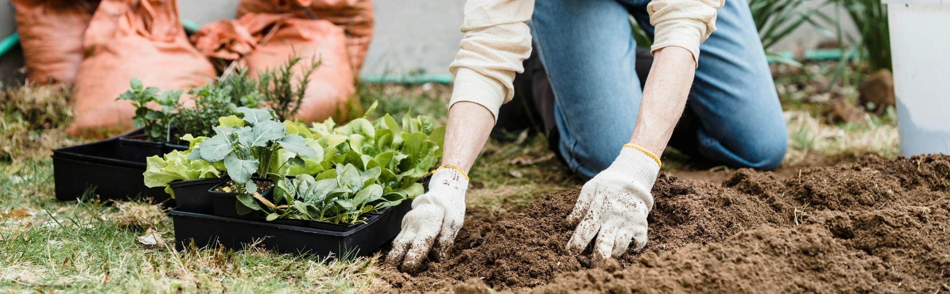 Home Compost & Worm Farm Rebate