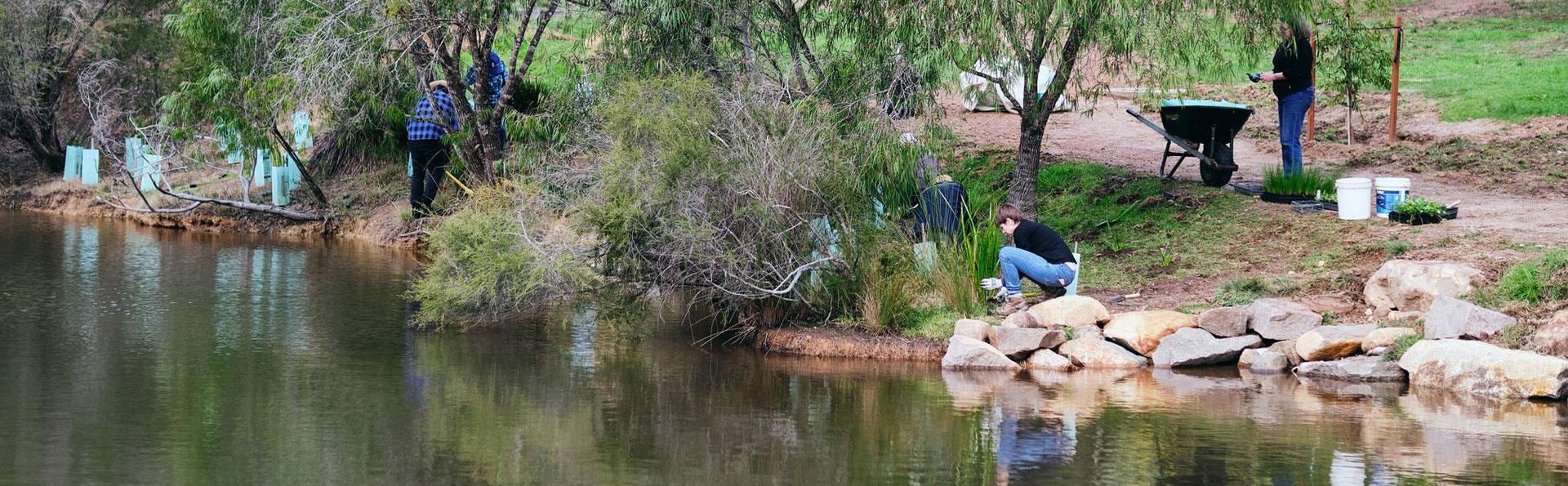 Friends of Rendall Close Weir