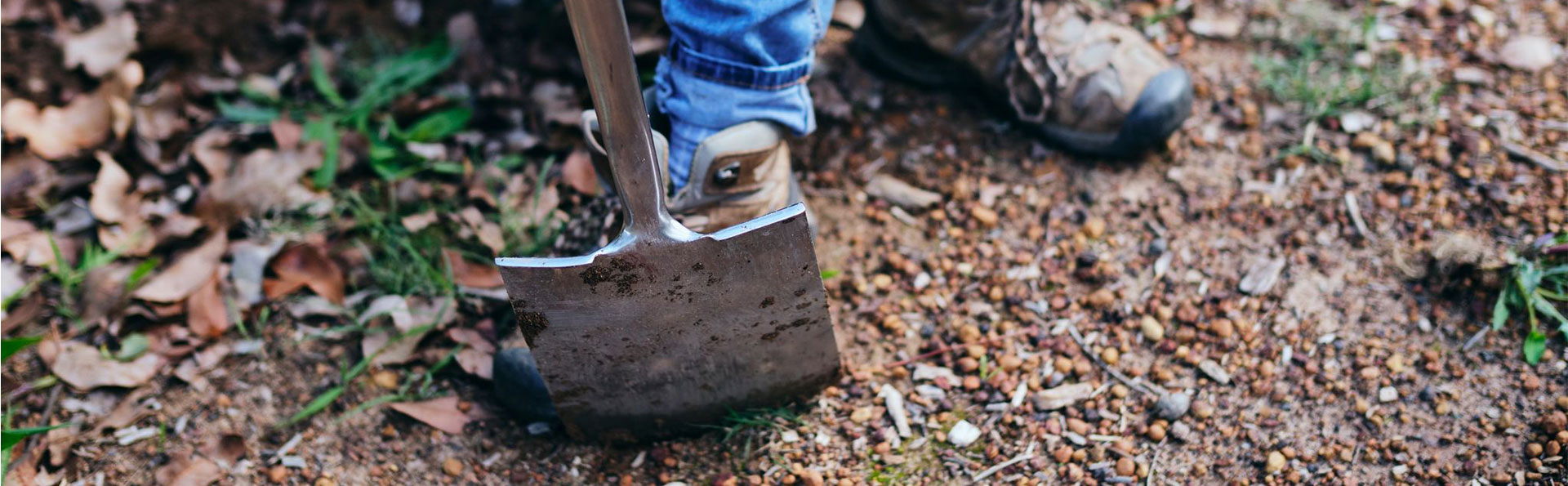 Weed Control and Management