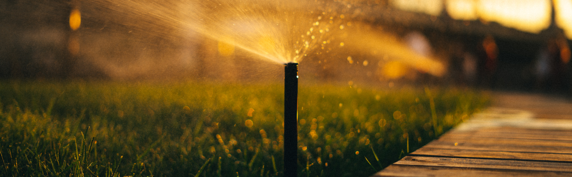 Reduce Your Water Use